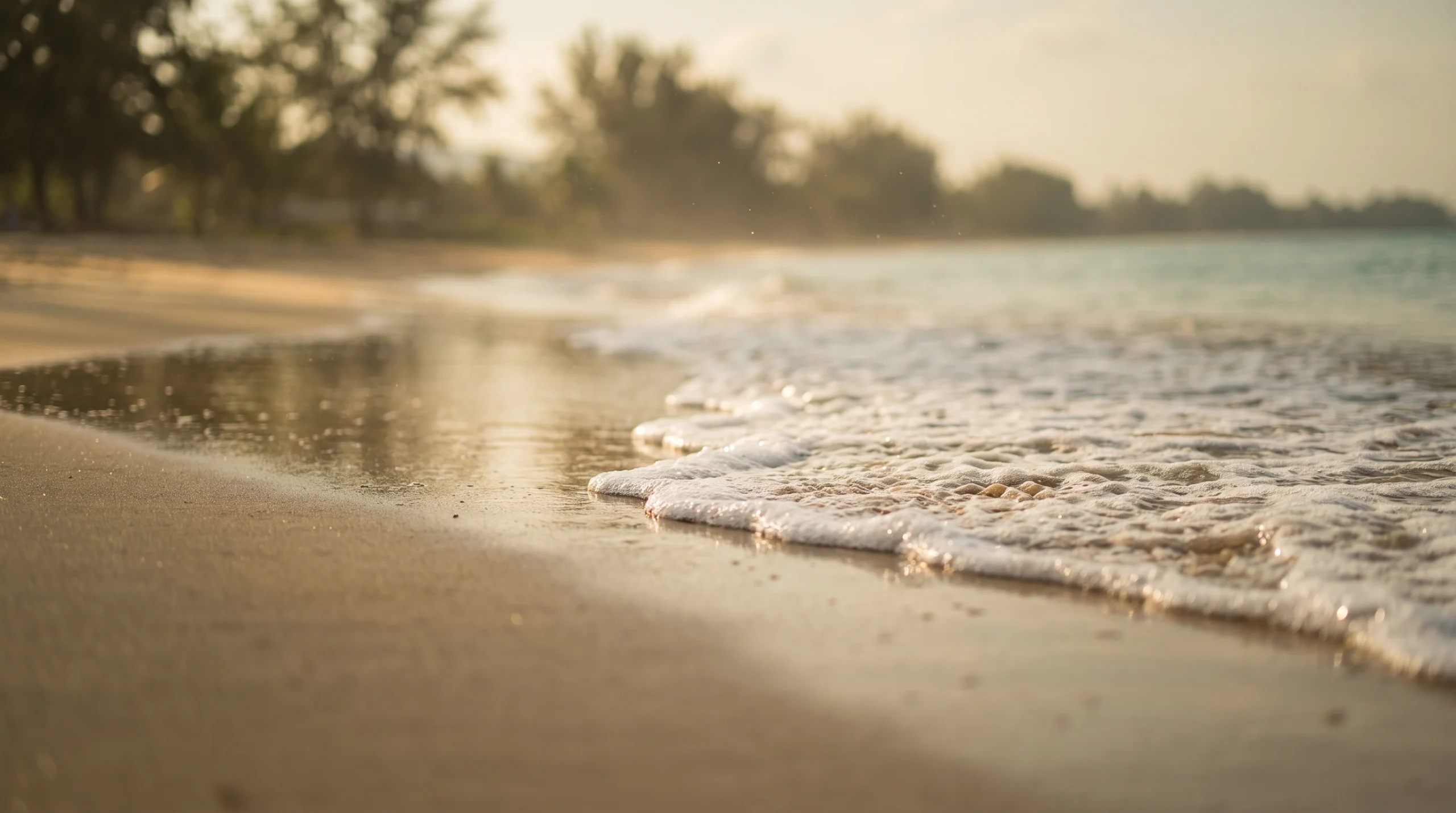 ฟองคลื่นบาง ๆ ไหลขึ้นมาบนทรายเปียกริมชายหาดตอนบ่าย ข้างหลังเป็นทะเลสงบกับแนวสนทะเล